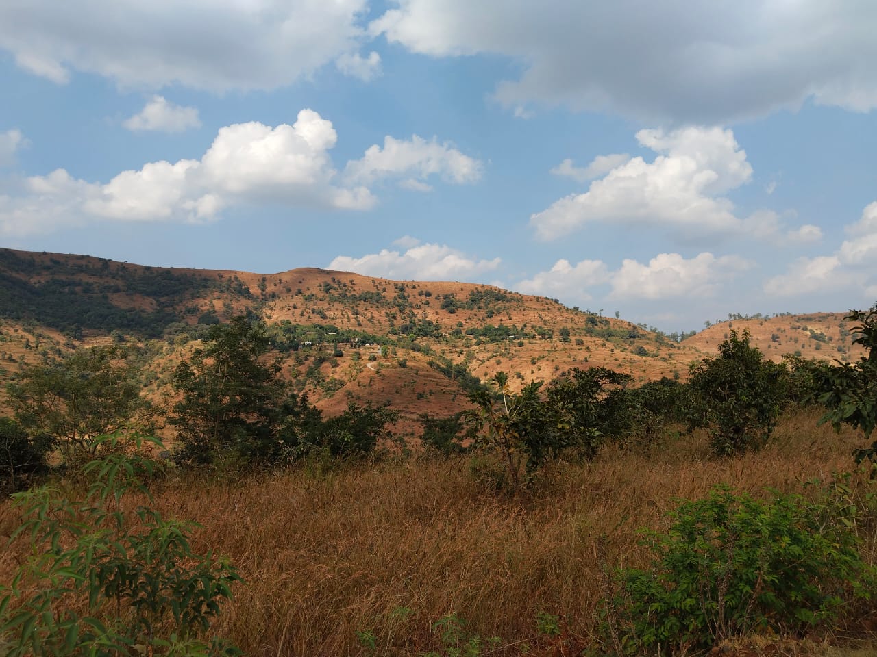 The Emerald Nest at Rajgad Bhor